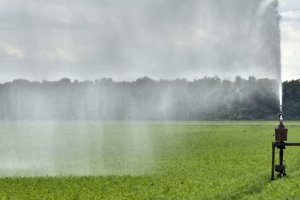 Door aanhoudende droogte in 2018 en 2019 is er veel gesproeid. Het lijkt er op dat ook 2020 weer een droog jaar wordt. Bron: Flip Franssen