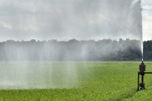 Door aanhoudende droogte in 2018 en 2019 is er veel gesproeid. Het lijkt er op dat ook 2020 weer een droog jaar wordt. Bron: Flip Franssen